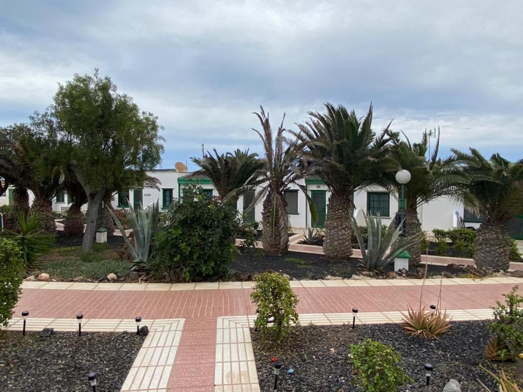 Casa Sandra Cocosol كوستا دي أنتيجوا المظهر الخارجي الصورة